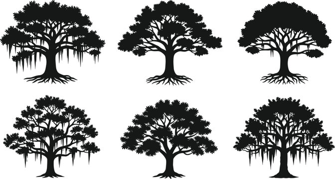 Set of Southern Live Oak and Banyan Tree Silhouettes with Spanish Moss Hanging Branches and Visible Roots for Nature Graphic Design