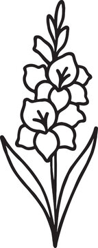 Black line art gladiolus flower illustration isolated on transparent background