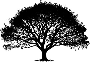 Fototapeta premium Fruit tree silhouette with round hanging produce on spreading branches