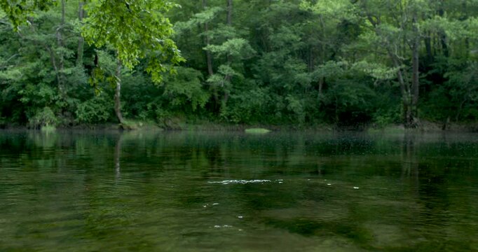 
Title Una River Calm Water Reflecting Dense Green Forest, Bosnia and Herzegovina