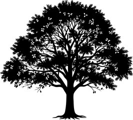Fototapeta premium Leafy fruit tree silhouette with visible round details