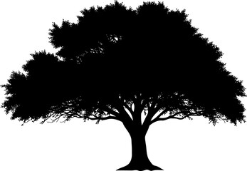 Fototapeta premium Spreading oak tree providing shade in a field