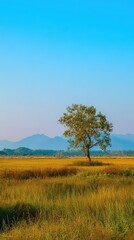Fototapeta premium Golden Field with Single Tree Under Clear Blue Sky and Distant Mountain Range Landscape in Warm Sunlight Outdoor Scenery During Daytime in Vertical Orientation