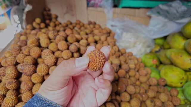 the appearance of tangkuhis (Dimocarpus longan ssp) or called "cat eye" fruit in a traditional market