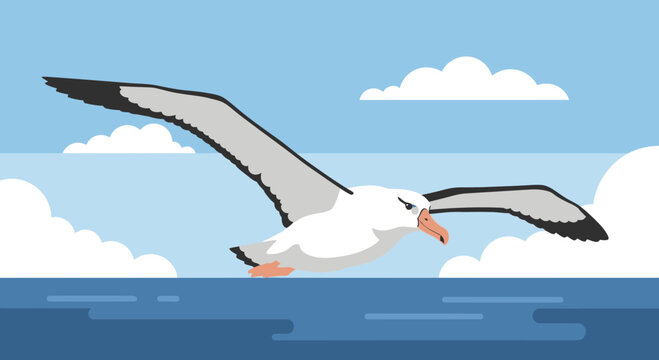 Majestic Albatross Soaring Over Calm Ocean Waves Under Cloudy Blue Sky