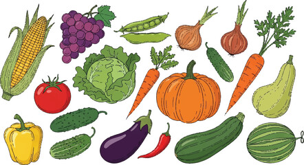 A vibrant and colorful assortment of various fruits and vegetables. Vector