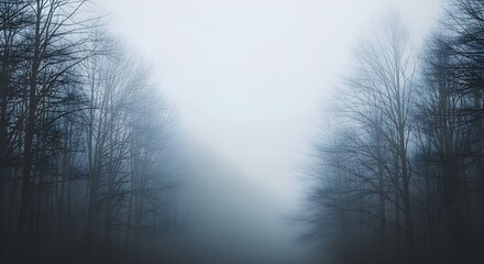Obraz premium Mysterious Foggy Forest Path - A Serene and Ethereal Landscape.