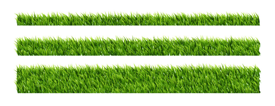 eco friendly lush green grass border element in set of three