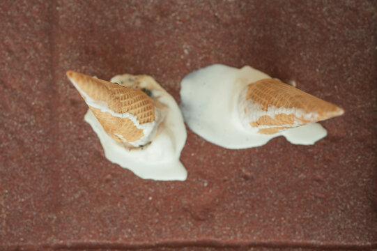 Modern conceptual image of two upside-down ice cream cones melting onto the ground, creating a playful yet artistic scene that represents summer heat, food waste, or abstract minimalism
