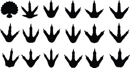 Dinosaur bird track silhouette vector set, prehistoric animal footprint icons, ancient fossil tracks, wildlife nature elements, paleontological collection, dinosaur, bird. © Anamul Arafat