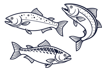Fototapeta premium A vector graphic illustration of three fish swimming together in a minimalist line art style