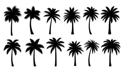 Obraz premium Tropical Palm Tree Silhouette Collection Monochrome Vector Botanical Set