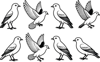 Fototapeta premium Bird silhouette collection, flying and standing bird poses, wildlife vector illustration, isolated nature design bundle set