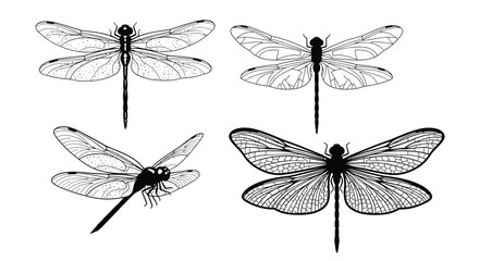 Detailed illustration of four dragonfly and damselfly insects © Pk vectors studio