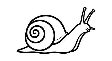 Simple line drawing of a snail on a white background, isolated © jas