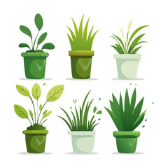Fototapeta premium Green Fern and Leafy Sprout Plant Illustration Set in Green Pot for Lush Greenhouse Interior Concept Graphic