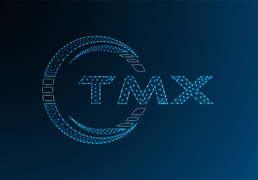 TMX low poly letter logo vector design. TMX lower poly logo design. Low poly logo.