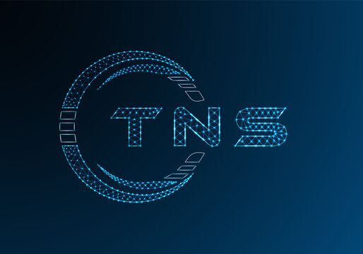 TNS low poly letter logo vector design. TNS lower poly logo design. Low poly logo.