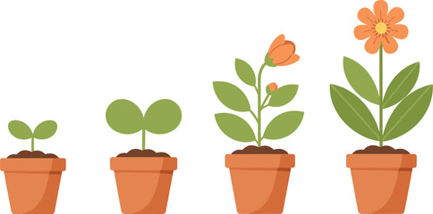 Plant growth stages in flower pots, seedling to bloom, life cycle, biology education, nature development, terracotta pot vector 