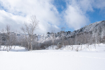 雪化粧の田ノ原湿原