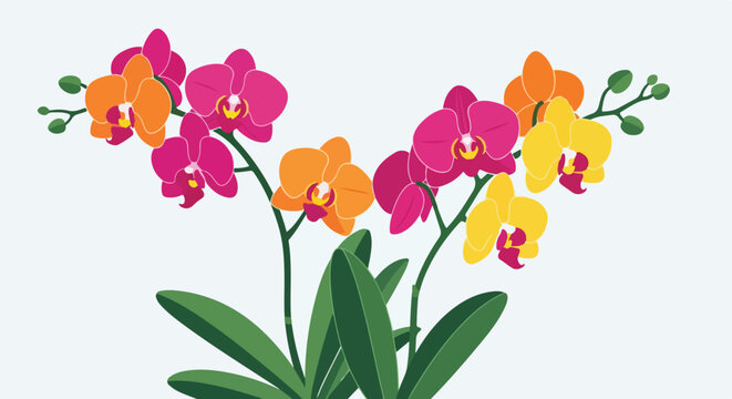 A stylized illustration of colorful orchids against a light background