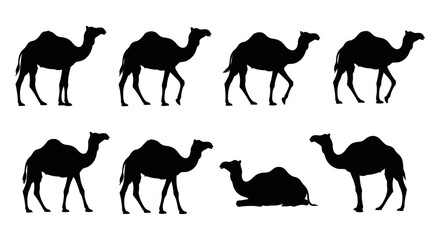 black camel silhouettes walking standing and resting illustrating iconic desert animals perfect for travel and graphic design projects.