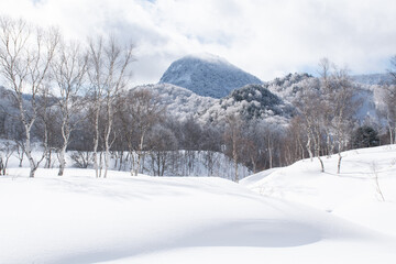 Obraz premium こんもり雪に覆われた田ノ原湿原と霧氷の山