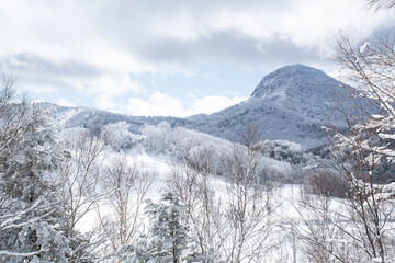 雪化粧の志賀高原