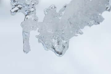 雪が解けて凍った氷