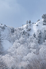 雪化粧の志賀高原と霧氷