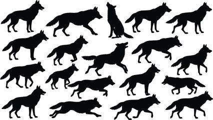 Black, rhinoceros, silhouette, vector, illustration, two, rhinos, facing, each, other, confrontation, concept, isolated, on, white, background, wildlife, safari, animal, icon. © Rubel