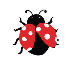 Obraz premium Cartoon red ladybug isolated on white background.