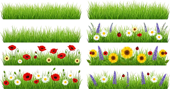 Vibrant green grass and diverse floral borders with spring and summer flowers