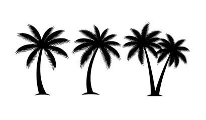 Fototapeta premium Minimal Tropical Palm Trees Silhouette Vector Set