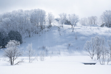 雪化粧の志賀高原と霧氷に覆われた木々