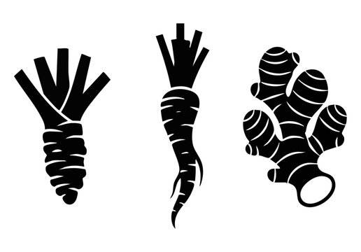 Root Vegetable Silhouette Vector - Horseradish, Parsnip, and Ginger Root Woodcut Art