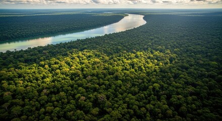 Aerial View of Lush Amazon Rainforest and River.