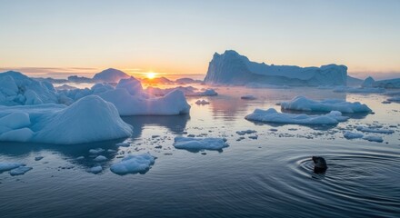 Arctic Sunrise - Icebergs and Seal in Calm Waters.