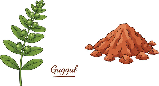 Guggul medicinal plant illustration showing green herbal branch and natural resin powder used in Ayurveda traditional medicine and organic health remedies