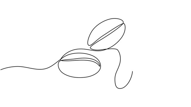 Coffee beans animation. Coffee grain continuous line drawing animated video.