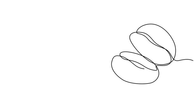 Coffee beans animation. Coffee grain continuous line drawing animated video.
