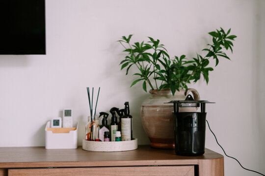 Modern Home Interior with Plant and Electronic Insect Trap