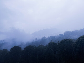 Misty Mountain Forest Landscape in Early Morning Fog
