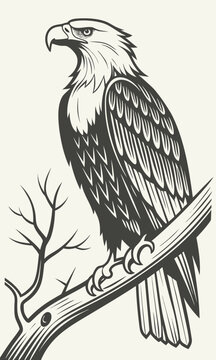Majestic Bald Eagle Perched on a Branch in Detailed Engraving Style.