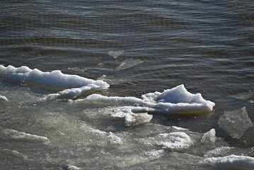 Melting ice floes drifting in the cold waters. © Ludmila Smite