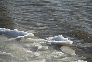 Melting ice floes drifting in the cold waters. © Ludmila Smite