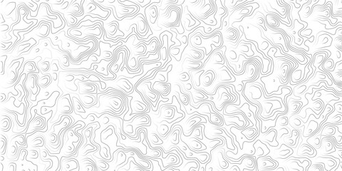 Obraz premium Gray topographic map lines on white background for design and texture