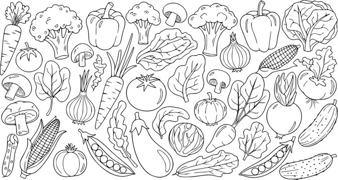Vintage hand drawn seamless pattern featuring a set of vector sketches with flowers, fruit, and vegetables like apple, tomato, and corn in a doodle illustration background