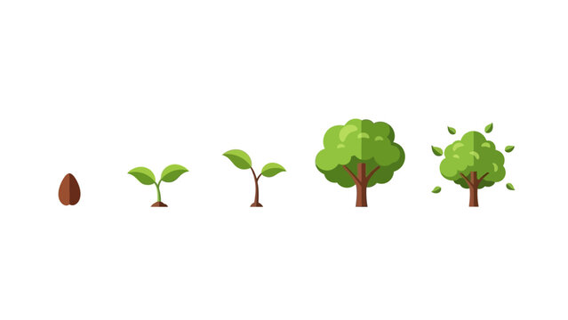 tree life cycle from seed to mature plant with autumnal leaves illustrating natural development ecology and environmental education.