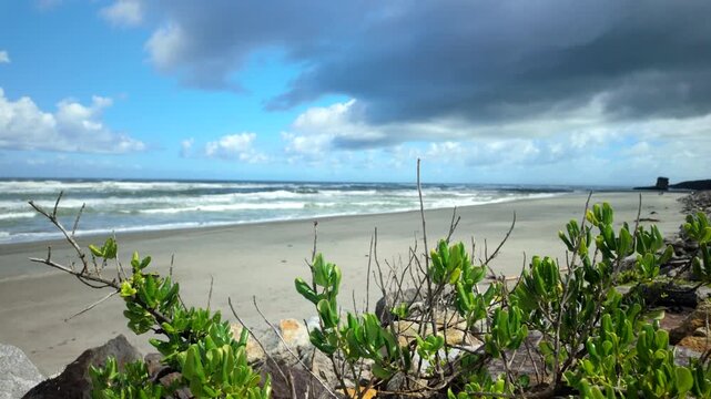 Windy Ocean Beach With Waves And Coastal Plants